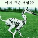 이마트24 사당역점 이미지