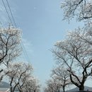 달창로,달창로26길 이미지