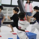 경희대 KTIGERS 태권도 이미지