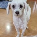 중원목장 이미지