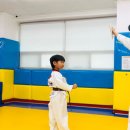 용인대박사태권도 2관 | 🎖 작은 몸에 담긴 큰 용기, 역북동 유치부 태권도 승급심사 이야기, 용인대 타이곤 태권도