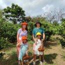 금오름농장 이미지