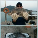 김선장펜션민박 이미지