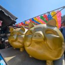 화신월드 | 부산 기장 가볼만한 곳 해동용궁사 후기 주차꿀팁