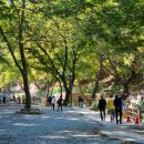 온더밸리 이미지