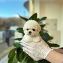 불당4로 이미지