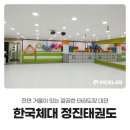 한국체대 정진태권도 이미지