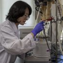 자동차 촉매박사 이미지