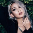 씨엘 - 서초구 신반포로15길 29 | 씨엘