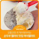 중앙동주민센터 | [강릉 여행] 이탈리아 수료 셰프가 만든 순두부 젤라또! 저장해두고 강릉가면 꼭 드셔보셔야 해요...