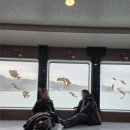 별바다펜션 | 청산도에서 이런 숙소 처음이야 바다·별·편백 향까지 완벽했던 청산도 여행펜션 솔직 후기