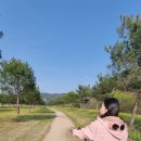 경천섬종합관광안내소 네이버블로그