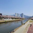 더꼬숩