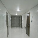 하단동1203 이미지