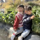 축복어린이집 이미지