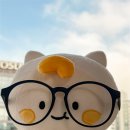 (주)다온테크 | 세상의 모든 결식우려 아동의 고민을 해결해 주는 나비팀 (주)나눔비타민(나비얌)이란?