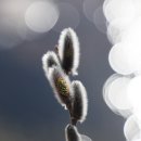 기운메디칼 이미지