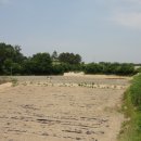 여주-1121 이미지