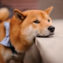 나라메디칼 이미지