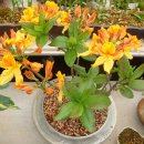 풀꽃농장 이미지