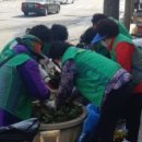 신길1동 새마을금고 앞 이미지