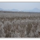 운정초등학교 이미지