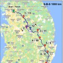 월부령 | 서울-부산-서울 1000K 브레베 / SBS 1000K brevet