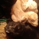 이천제이농장 이미지