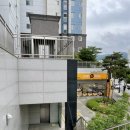 북평주공2차 ↔ GS동해전력사원 아파트 | [D+103] 동해시 아파트 임장기(아실 최고가 순위 순으로~)