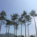 (주)소나무건설 이미지