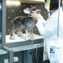 미래엔케어 이미지