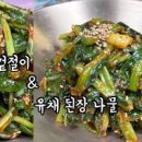 무침 Daum카페