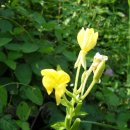 노을공원4 이미지