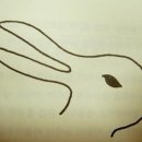 <한줄 철학> 철학자의 죽음 이미지