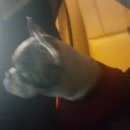 아토와토토
