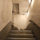 정일상회 이미지