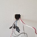 신내6단지 이미지