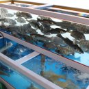 다모아힐링 이미지