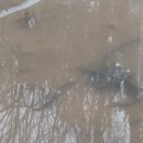 일장천약수터 이미지