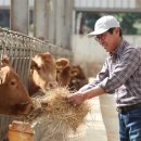 소들목장 이미지