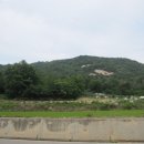 신도리-5 이미지