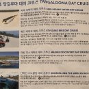 (주)바이크트립 | 호주 시드니 브리즈번 여행 : 5월 날씨와 모튼섬 아일랜드 투어 코스