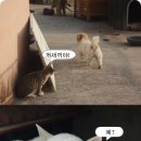 아 이미지