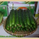 봉황농장 이미지