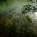 호수풍경속으로 이미지