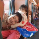 월서유치원(파랑새유치원) 이미지