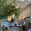 고려가든 | 청주 웨딩홀 추천 에스가든 방문후기