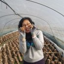 김형표농장 이미지