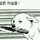 운계정 이미지