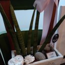 발산마을회관 이미지